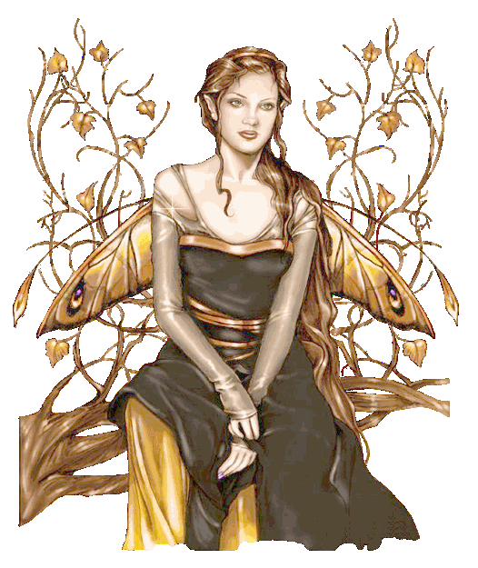  la femme papillon dor